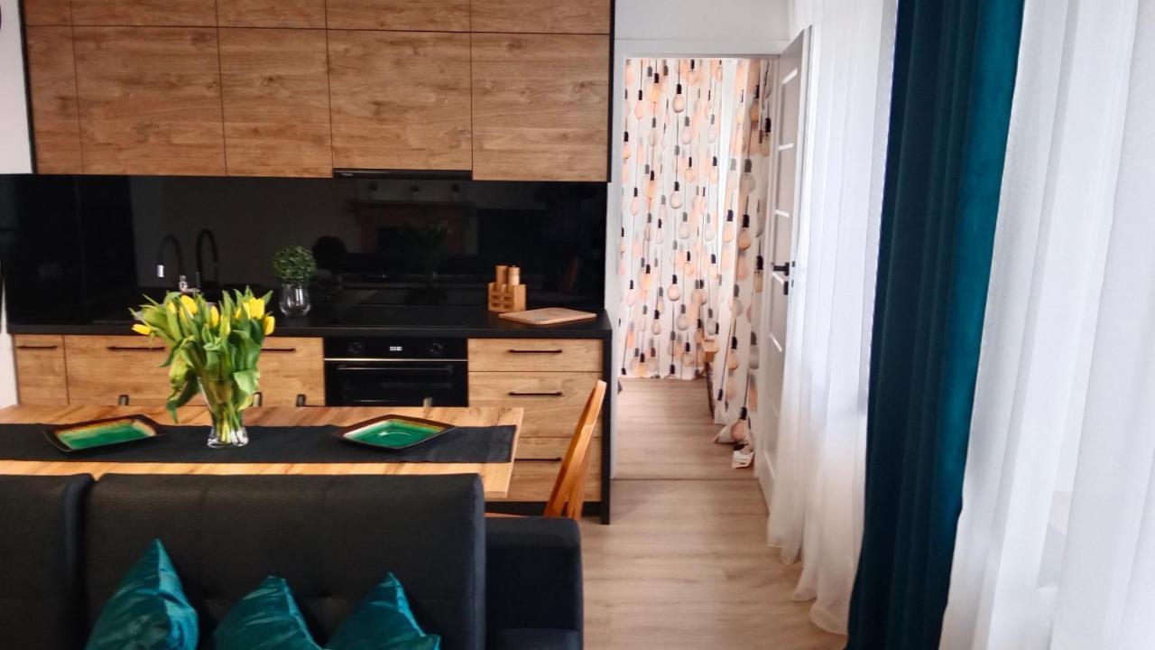 Apartament Dwupokojowy ออสตรอเวียตซ์ชเวียนตอกชิสกี ภายนอก รูปภาพ